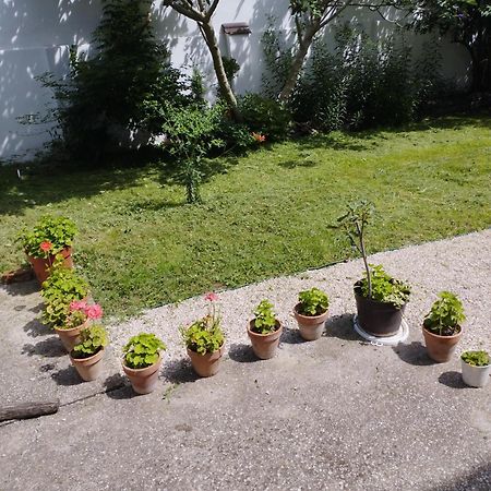 Paprika vendégház Harkány Kültér fotó